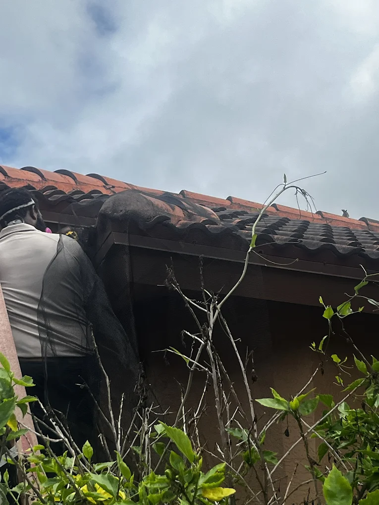 Swift Wildlife specialist removing an invasive iguana from a Treasure Coast waterfront property