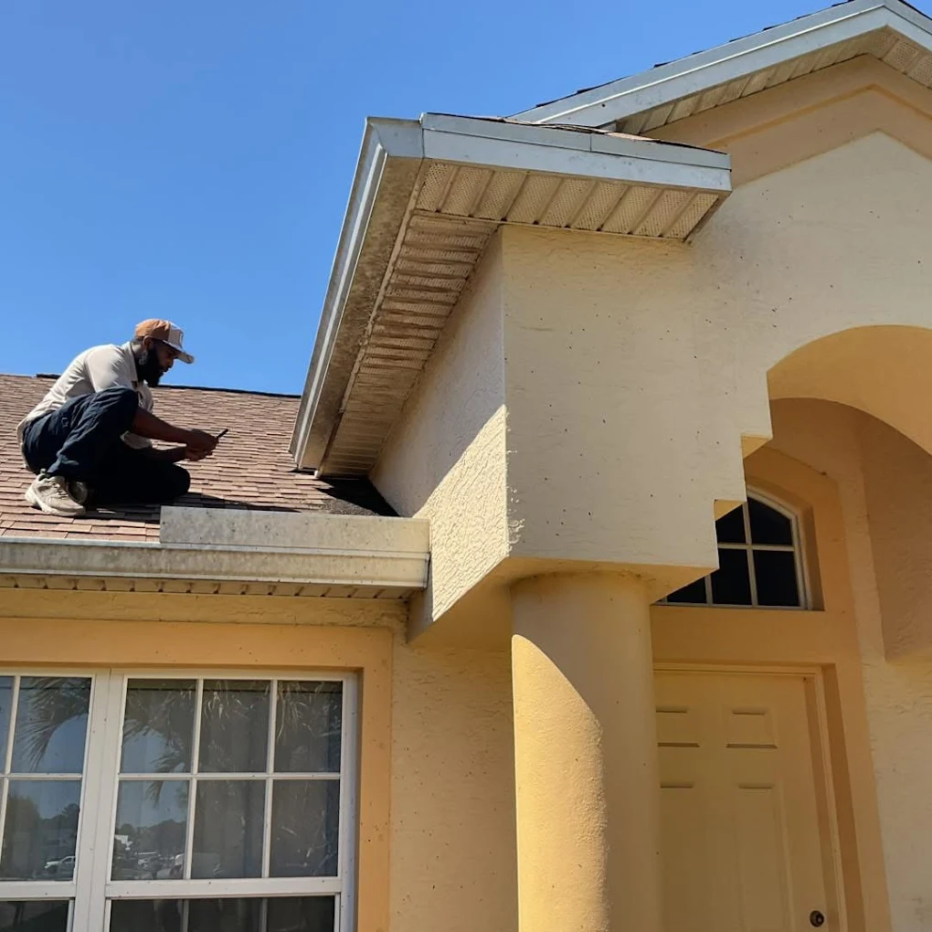 Swift Wildlife technician inspecting a coastal roofline for a bat roost