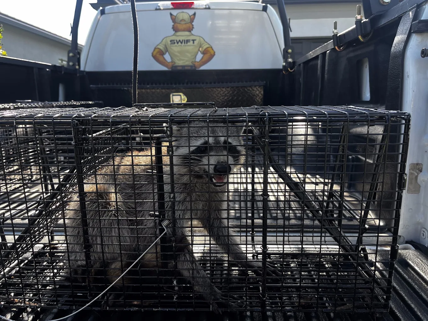Fort Pierce, FL neighborhood homes Swift Wildlife protects