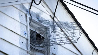 One-way exclusion device and steel-mesh sealing on a Fort Pierce home