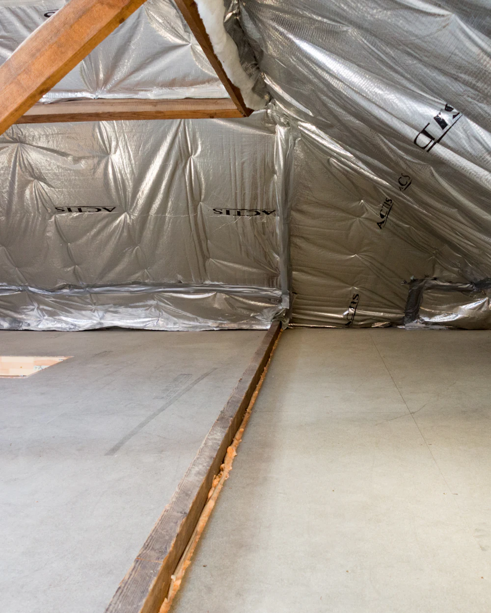A Treasure Coast attic — the warm, sheltered space bats commonly choose to roost in