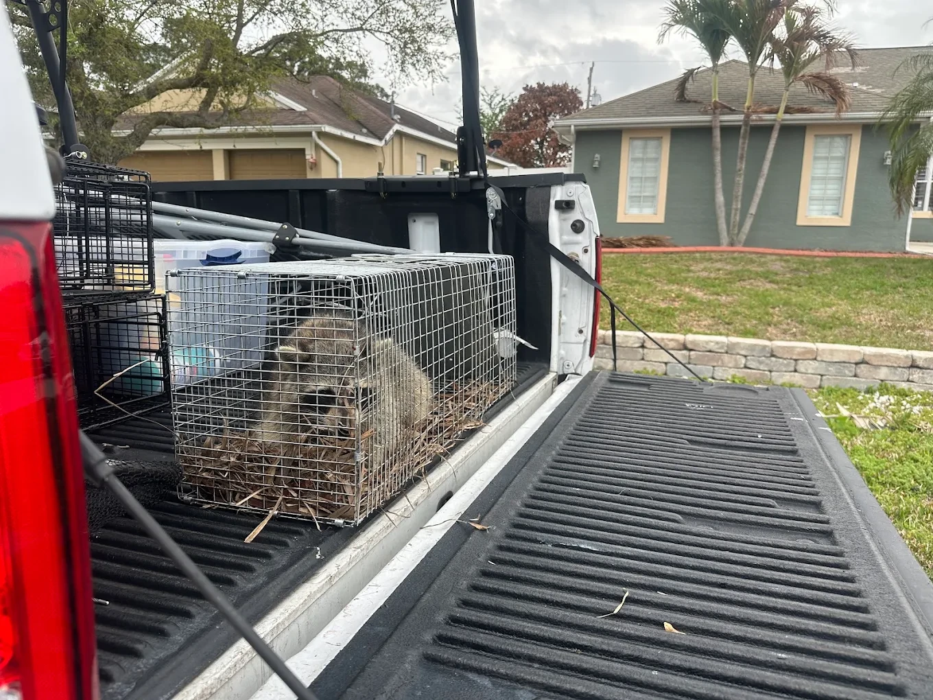 The Swift Wildlife field team serving the Treasure Coast