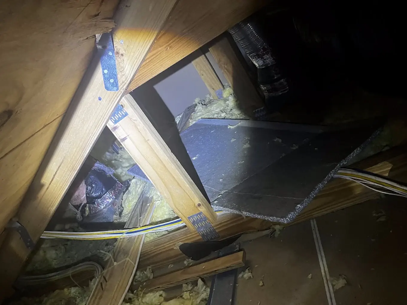 A rodent entry point found at the roofline during an attic inspection