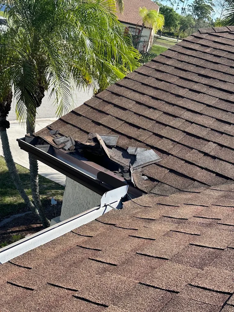 Swift Wildlife inspecting the roofline of a Treasure Coast waterfront home