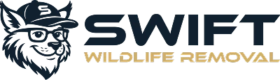 Swift Wildlife Removal